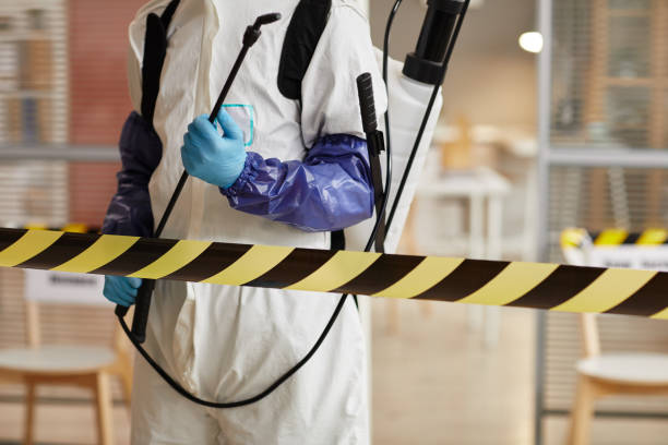 Professional Sewage Cleanup technician working in Homestead, FL